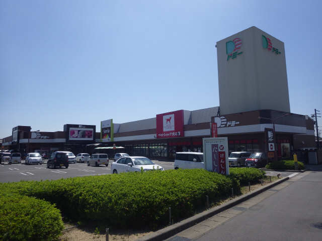 ドミー　徒歩９分